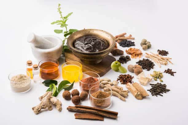 Ayurvedic Seasonal Guide for Autumn